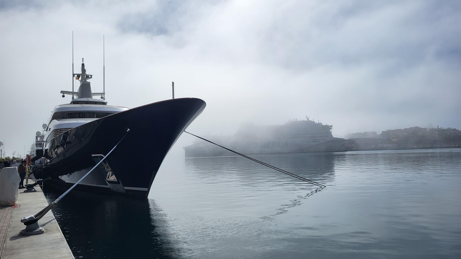 El taró, este viernes, en el puerto de Málaga.
