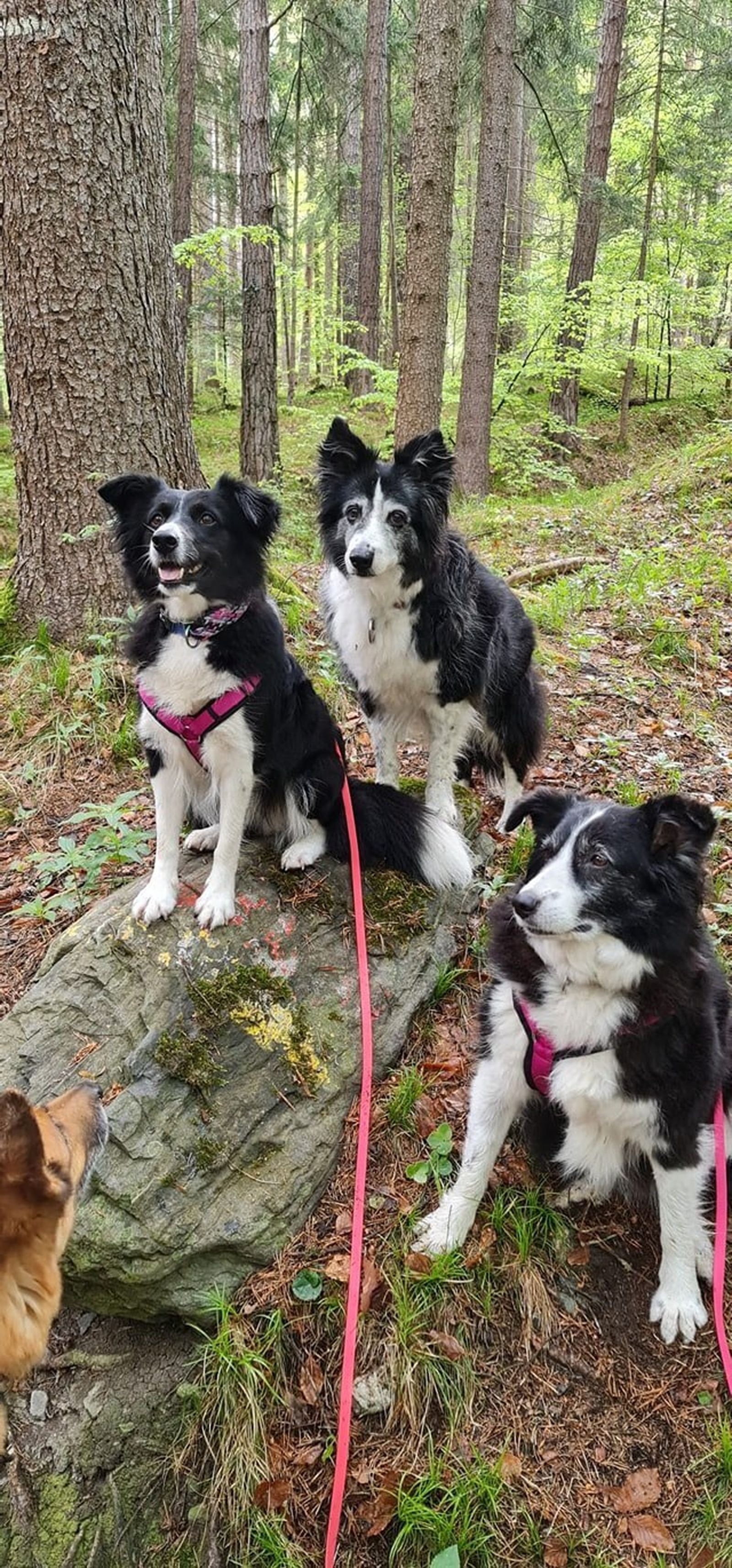 'Erika', con su familia adoptiva en Suiza.