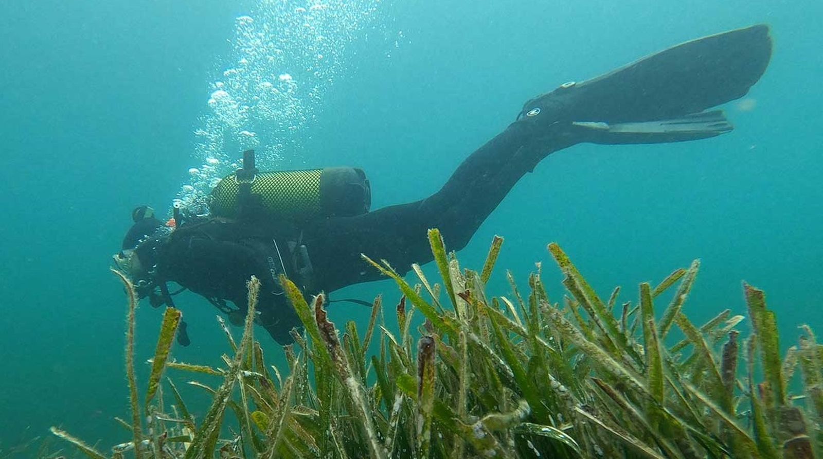 El mar almeriense ofrece buenas opciones para hacer buceo