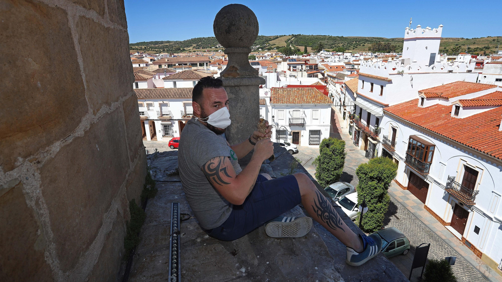 Anillamiento de cernícalos primilla del grupo Tumbabuey en Los Barrios