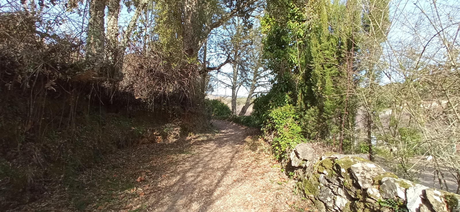 Las imágenes de la ruta de la Dehesa de Valdelama: De Los Marines a Fuenteheridos y vuelta