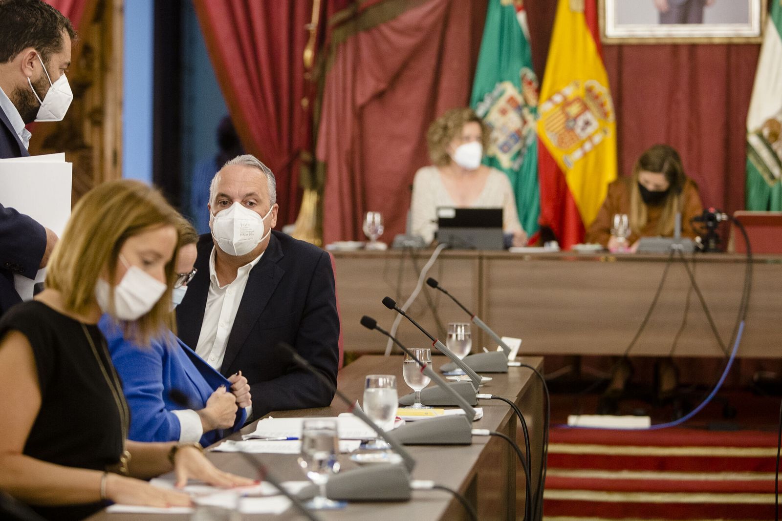 El Pleno de la Diputación.