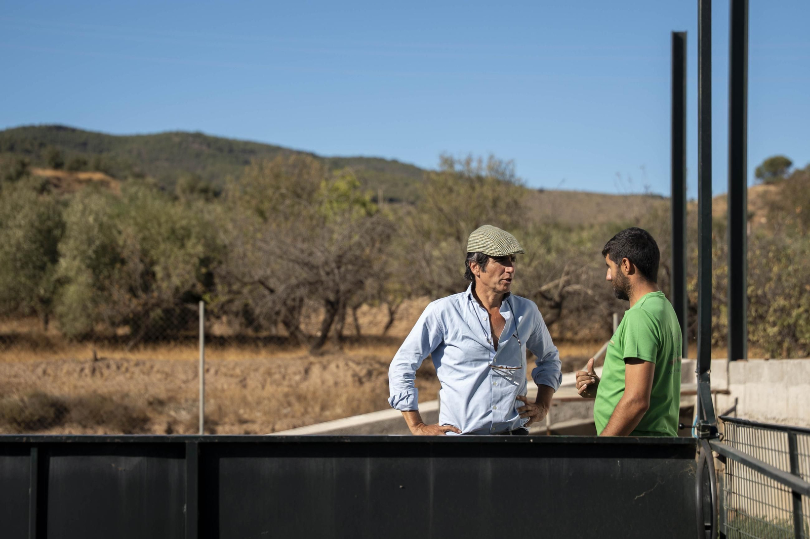 Os enseñamos como se hace el aceite en la almazara de Fiñana, en imágenes