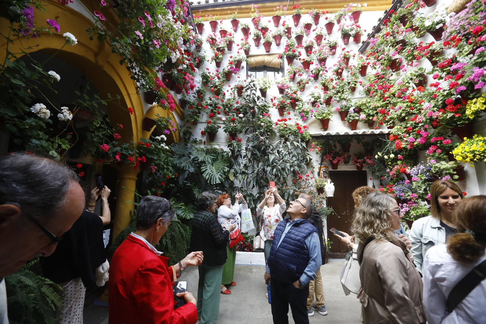 Colas e ilusión en el primer sábado de los Patios de Córdoba, en imágenes