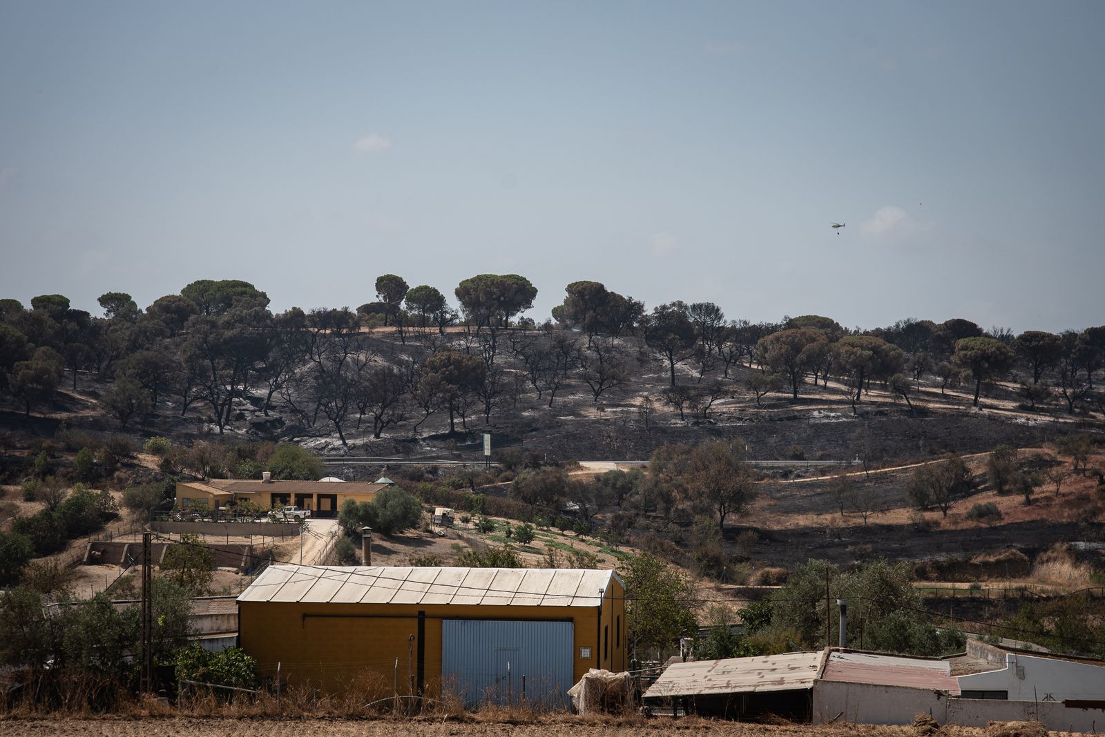 Imágenes de los destrozos causados por el incendio de Lucena del Puerto
