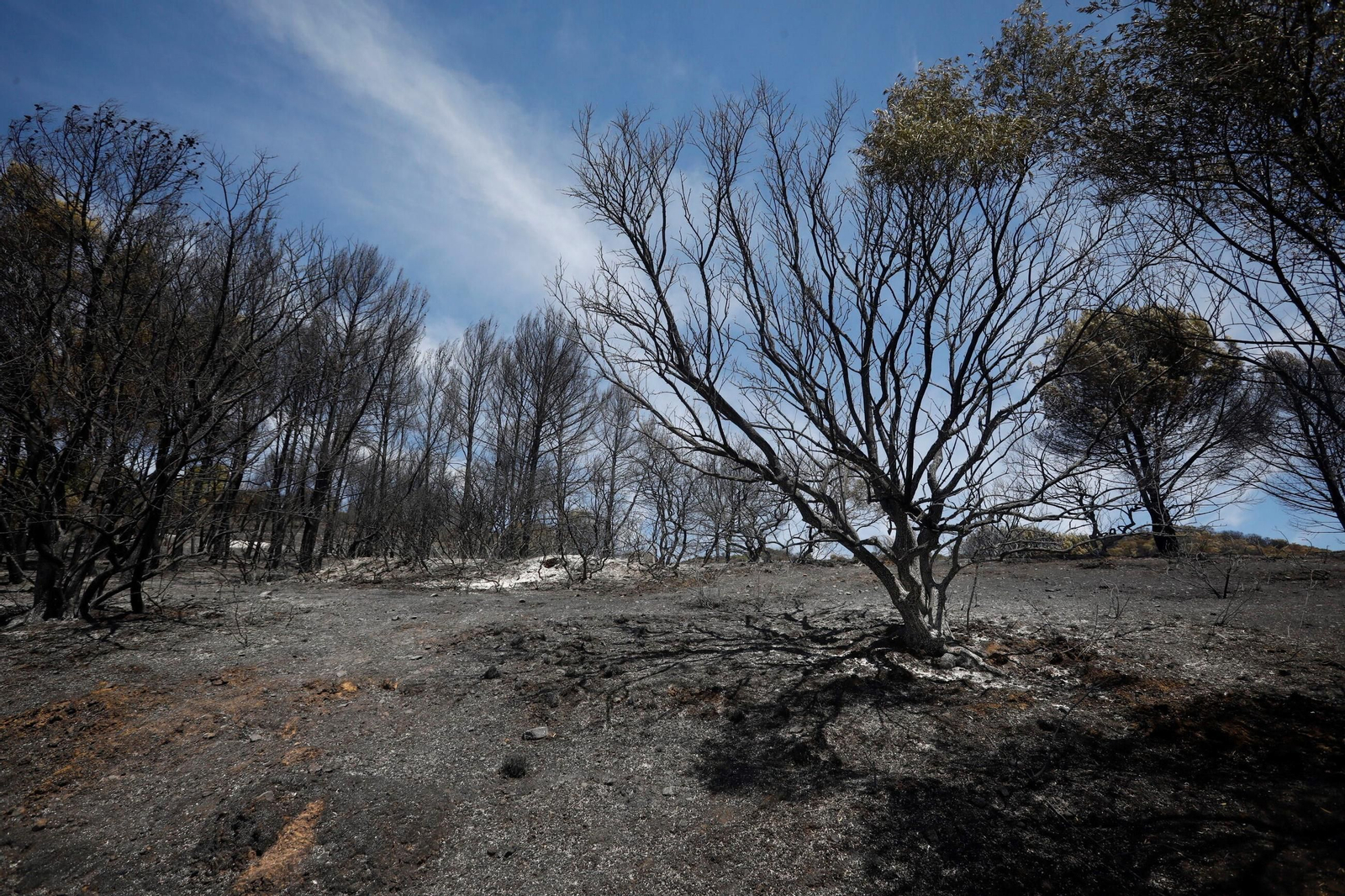 Zona cero del incendio de la Sierra de Córdoba