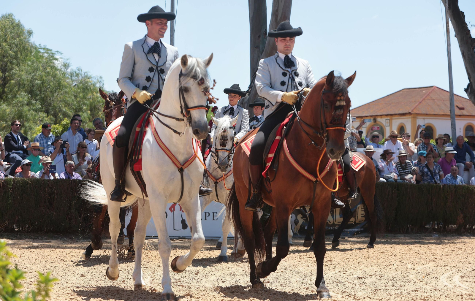 Entrega del Caballo de Oro Jerez 2024 a Francisco Dorante
