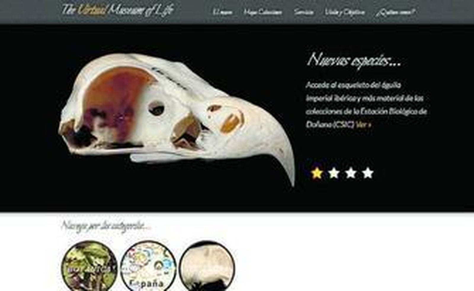 La web es una iniciativa conjunta entre profesores y alumnos de la Universidad de Sevilla y la empresa BioScripts.