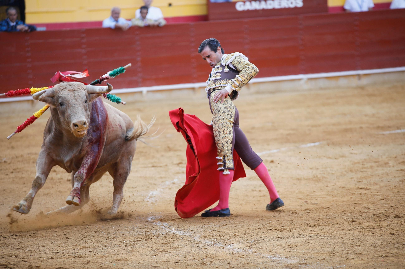 Imágenes de la corrida de toros en Roquetas de Mar