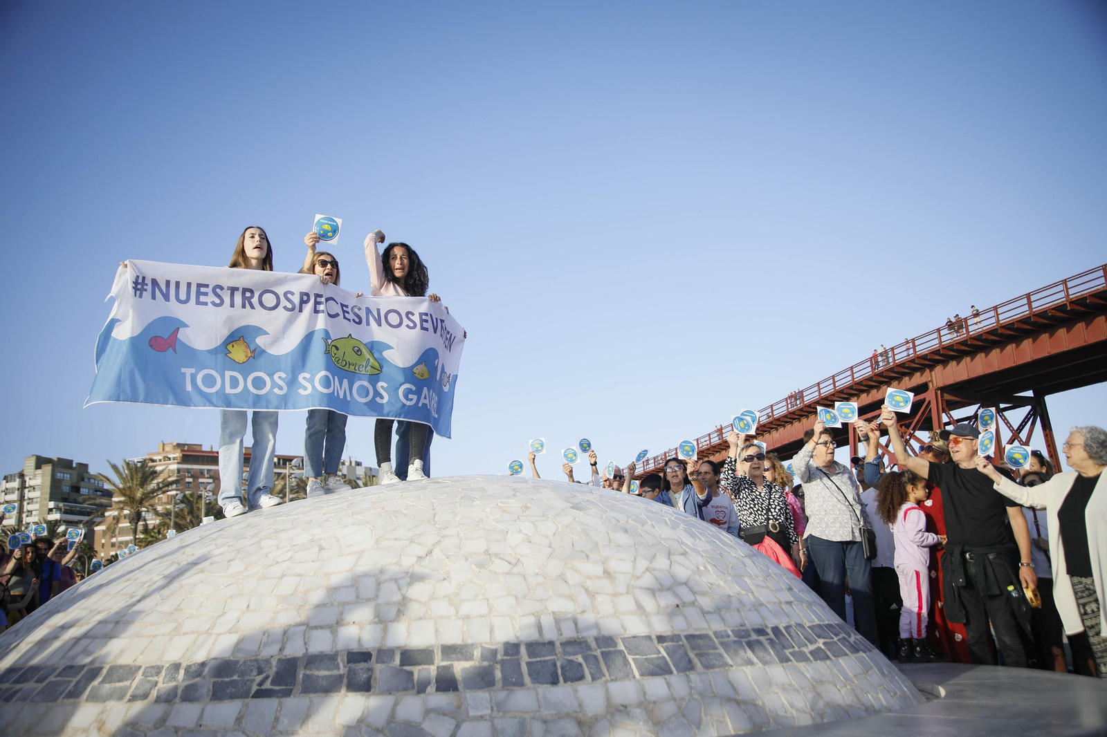 Nuestros peces no se venden, en imágenes