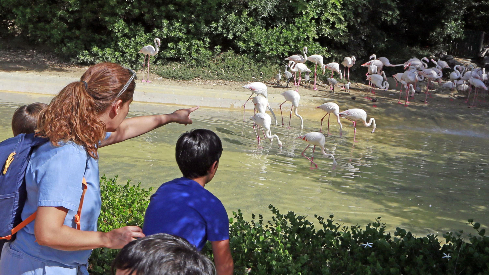 Reapertura del Zoo de Jerez