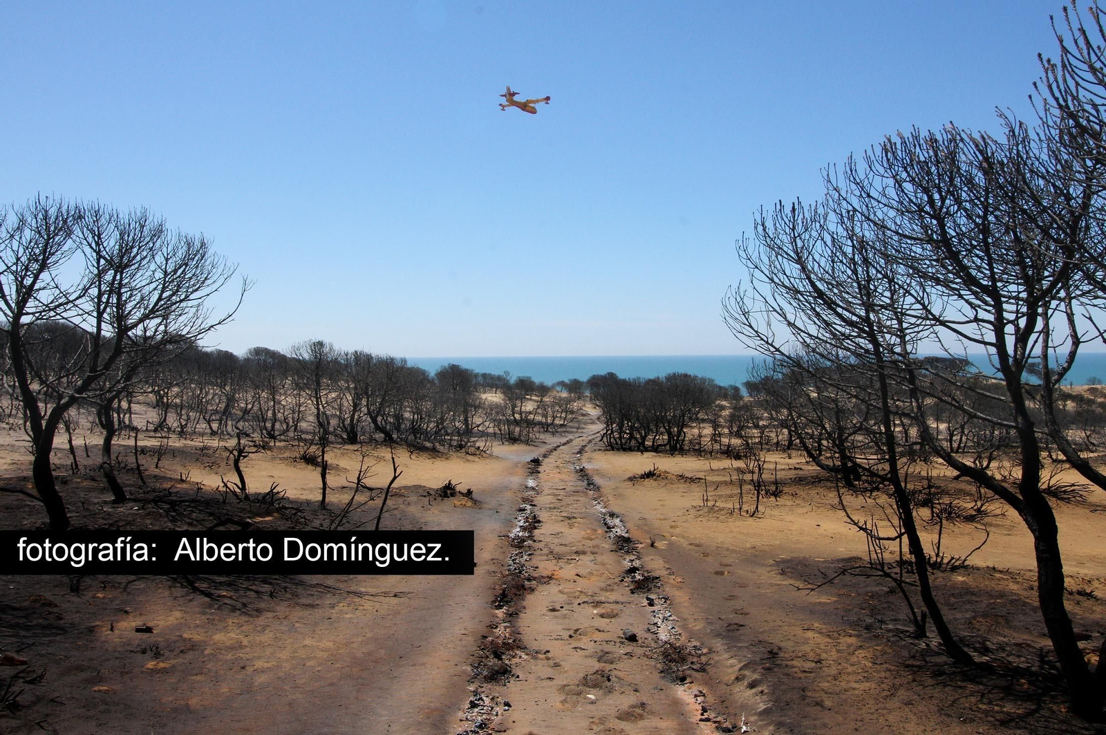 Imágenes de Cuesta Maneli tras el incendio.