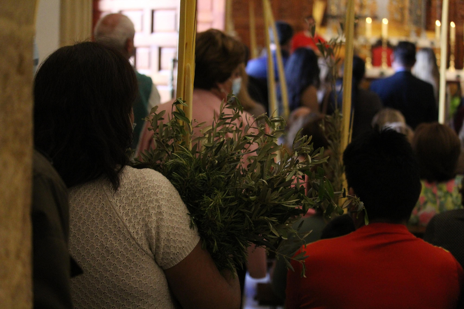 Las imágenes de la procesión de La Borriquita en Vera