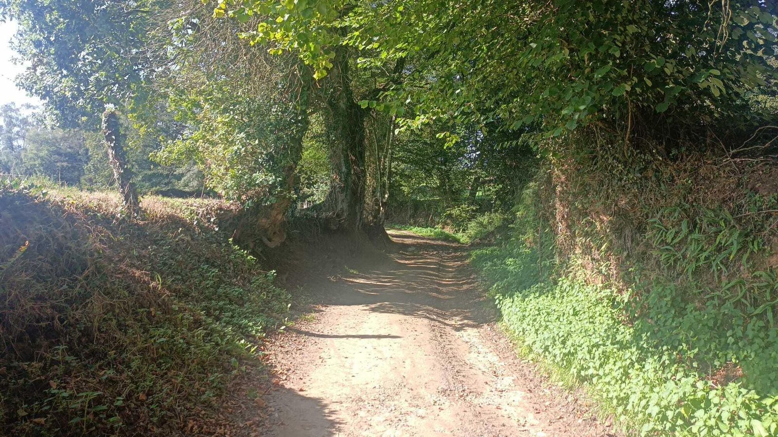 Aspecto de los senderos en el tramo final de la etapa.