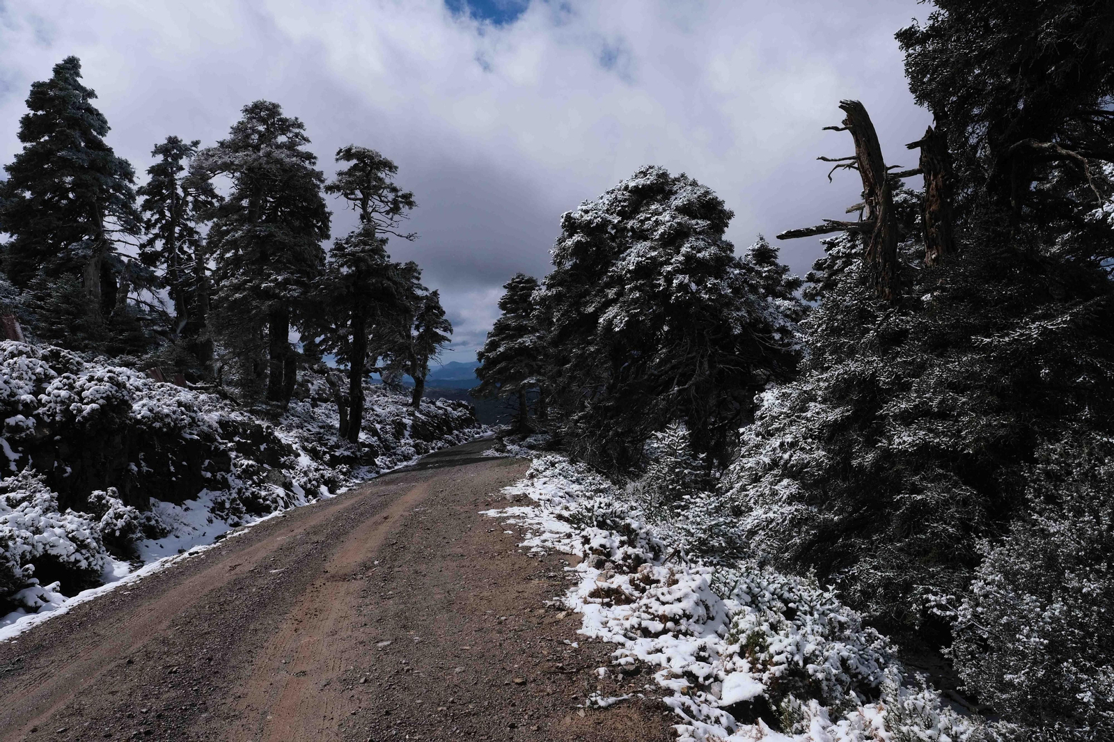 La nevada en la Sierra de las Nieves, en fotos.