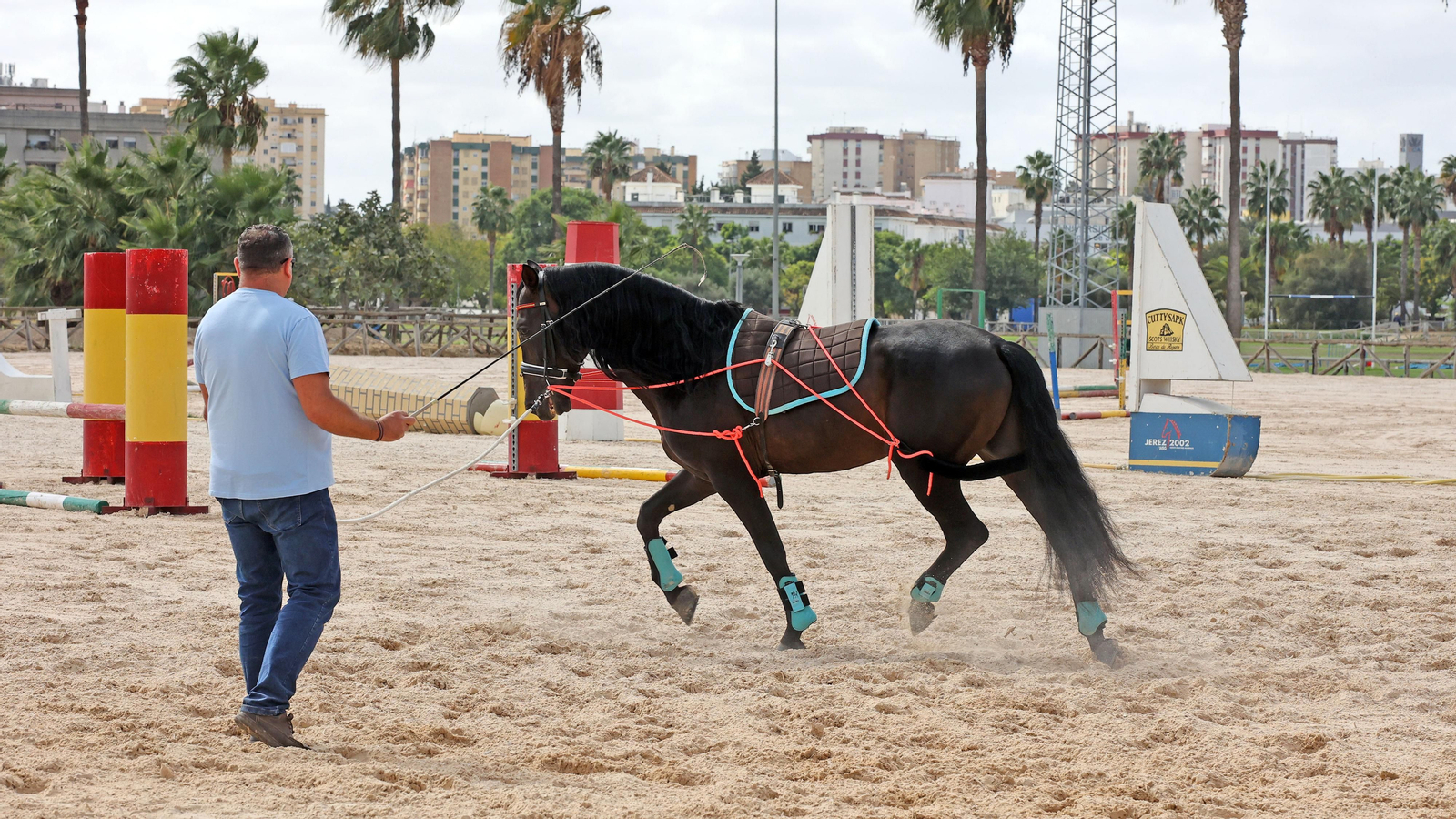 20 años después de los Juegos Ecuestres Mundiales Jerez 2002