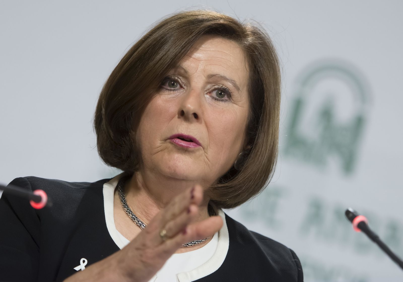 María José Sánchez Rubio, consejera de Igualdad.