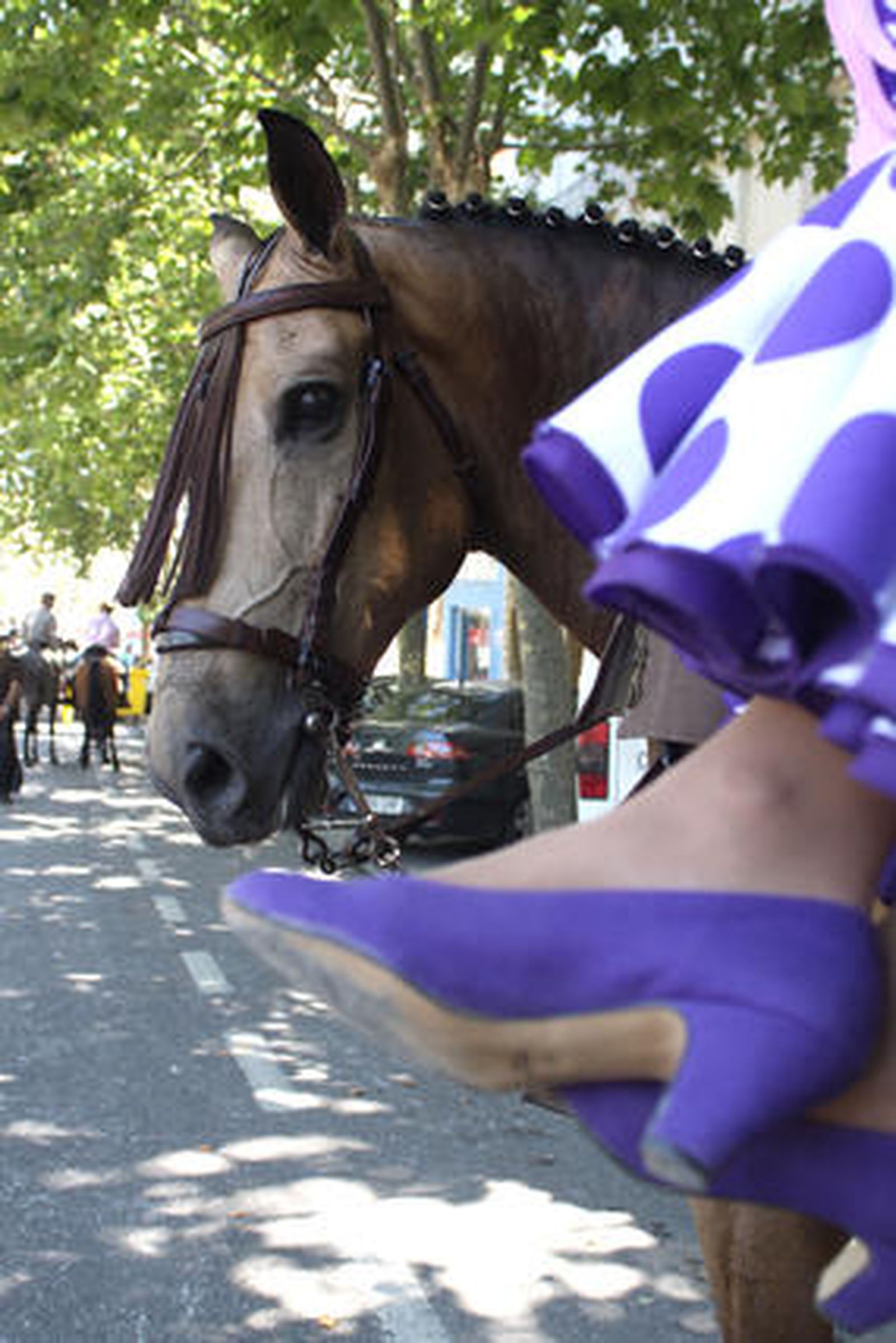 Los algecireños viven intensamente la jornada del sábado en la Feria. 

Foto: Vanessa Perez