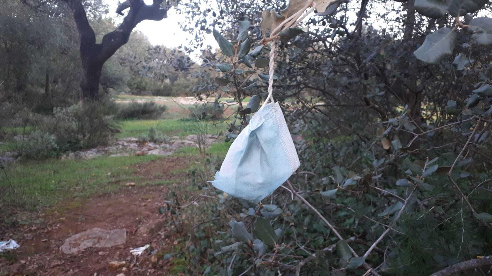 Una mascarilla colgando de un arbusto, en El Patriarca.