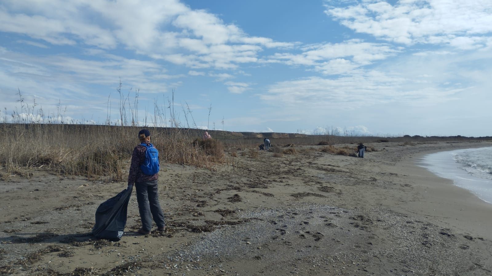 Una veintena de voluntarios limpian playas de El Ejido para retirar 400 kilos de basura