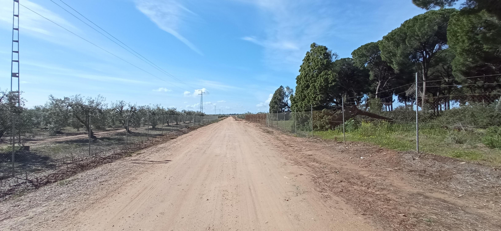 Las imágenes de la Ruta Azul en Bollullos de la Mitación