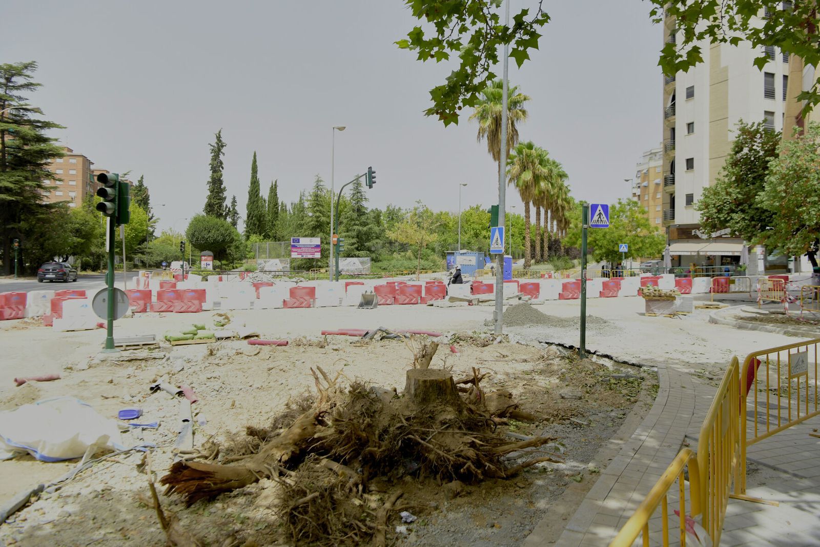 Restos de uno de los cedros cortados en la avenida de Andalucía