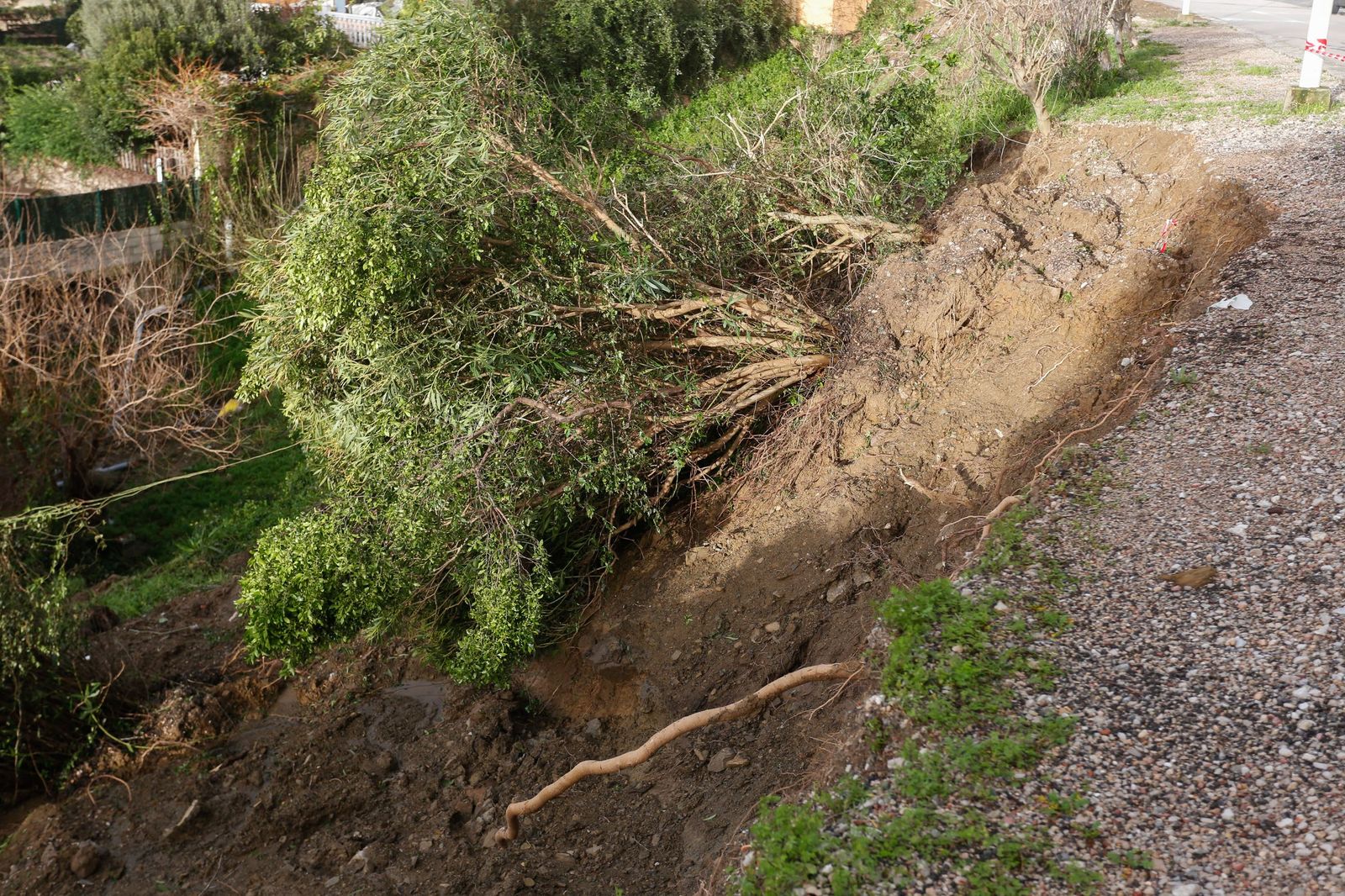 Las fotografías de los desprendimientos en varias calles de la urbanización El Faro, en Algeciras