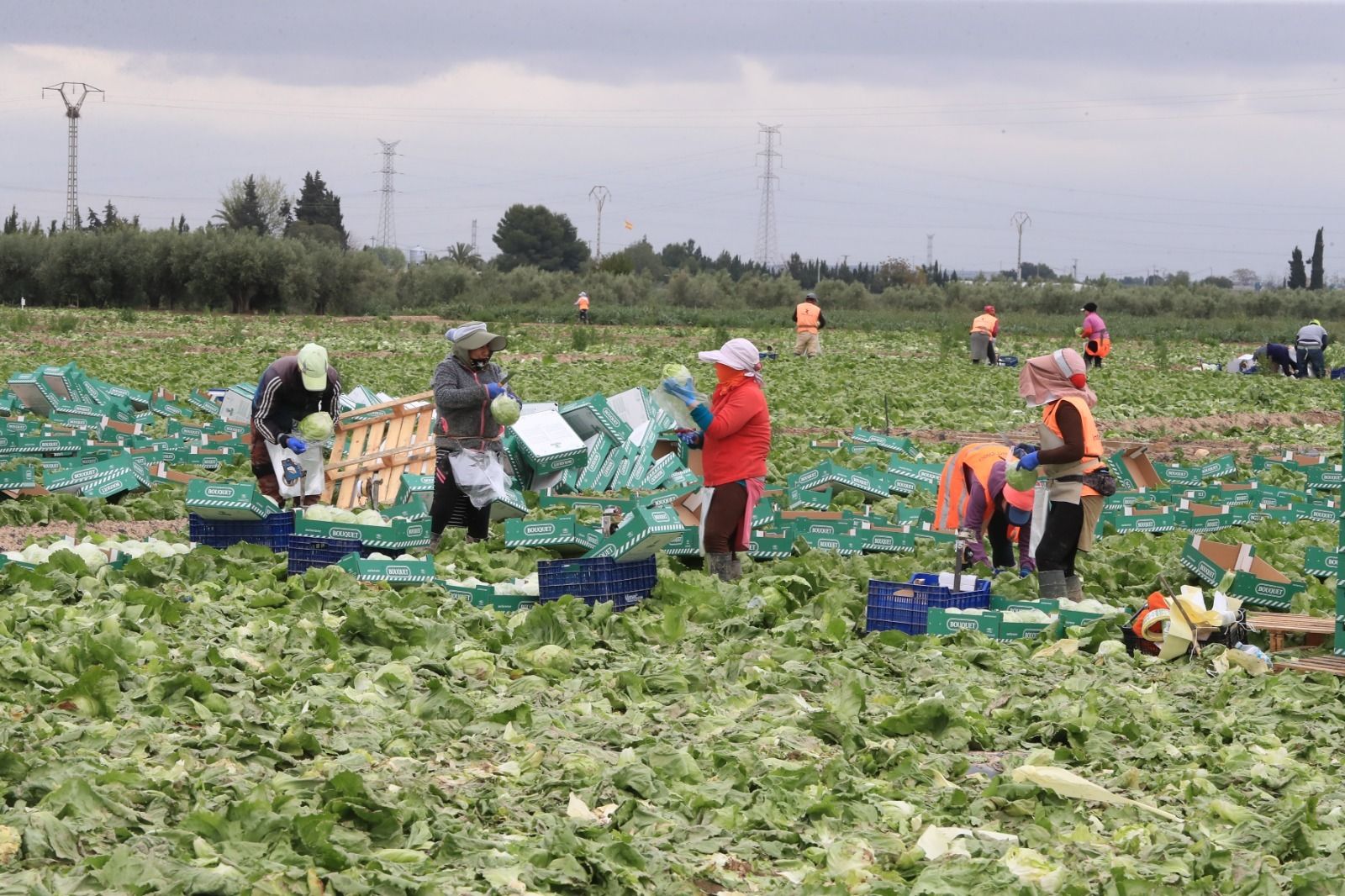 Huerta de la Región de Murcia.