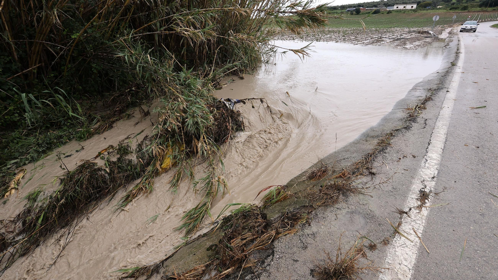 Imágenes del temporal de viento y lluvia en Jerez