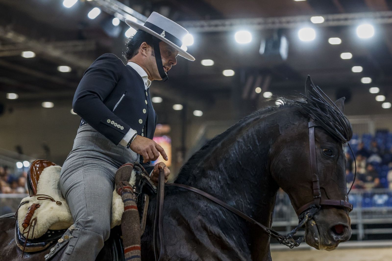 Competición de Doma Vaquera en Ifema.
