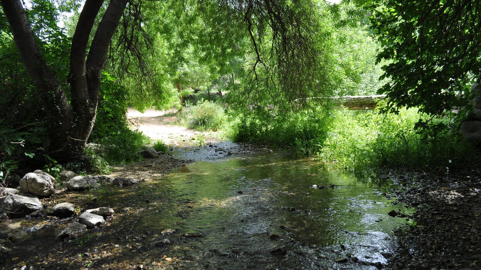 El agua marcará parte de esta sencilla senda.