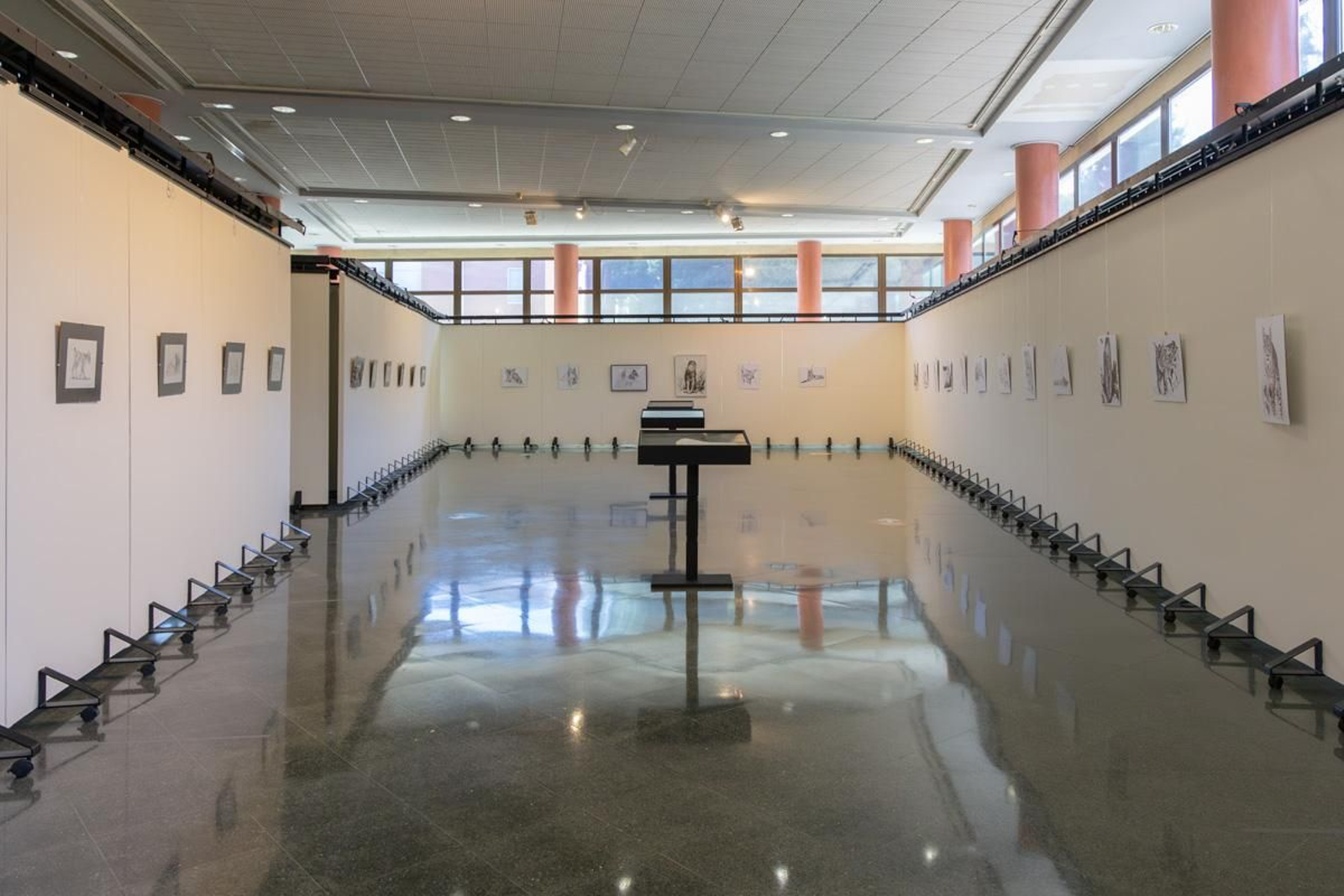 Exposición Los pinceles del lince ibérico, en imágenes