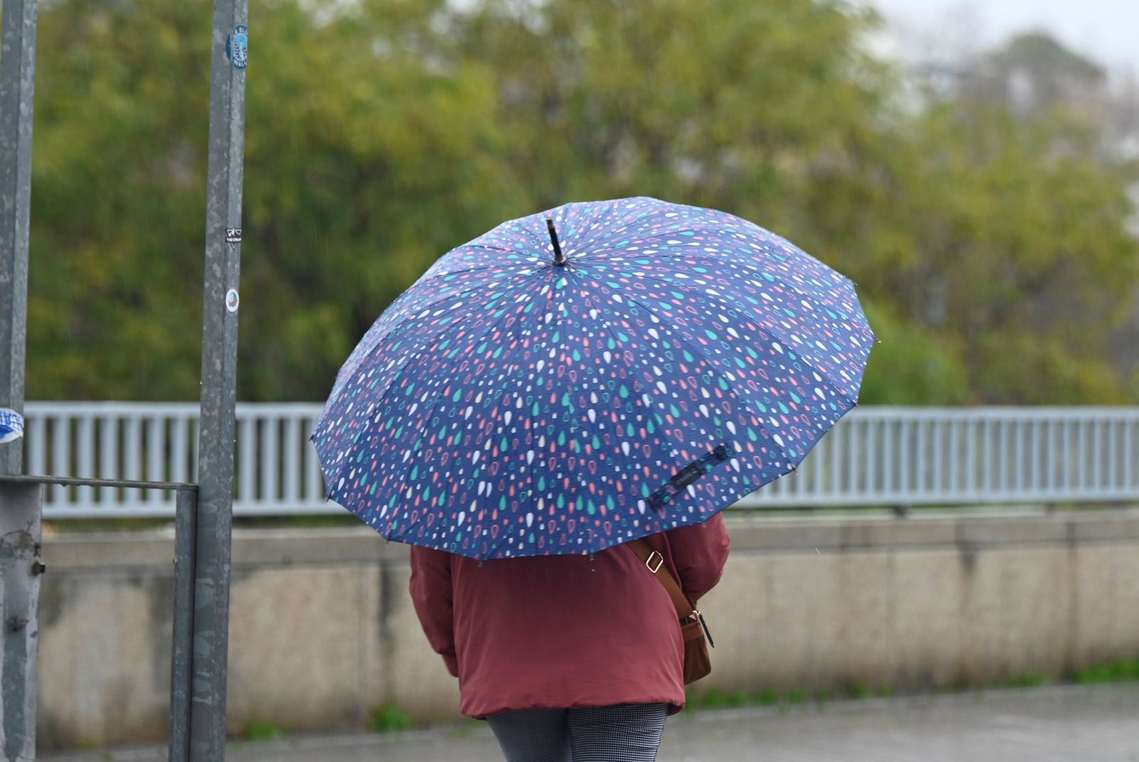 Una persona camina bajo la lluvia resguardada con un paraguas.