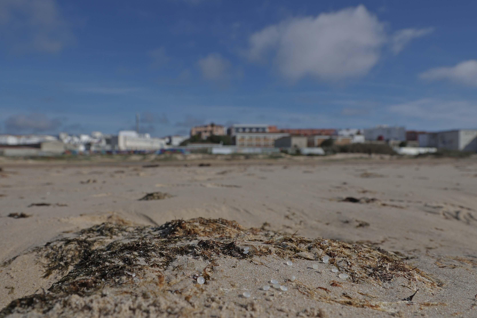 Fotos del vertido de pellets en las playas de Tarifa Fotos del vertido de pellets en las playas de Tarifa