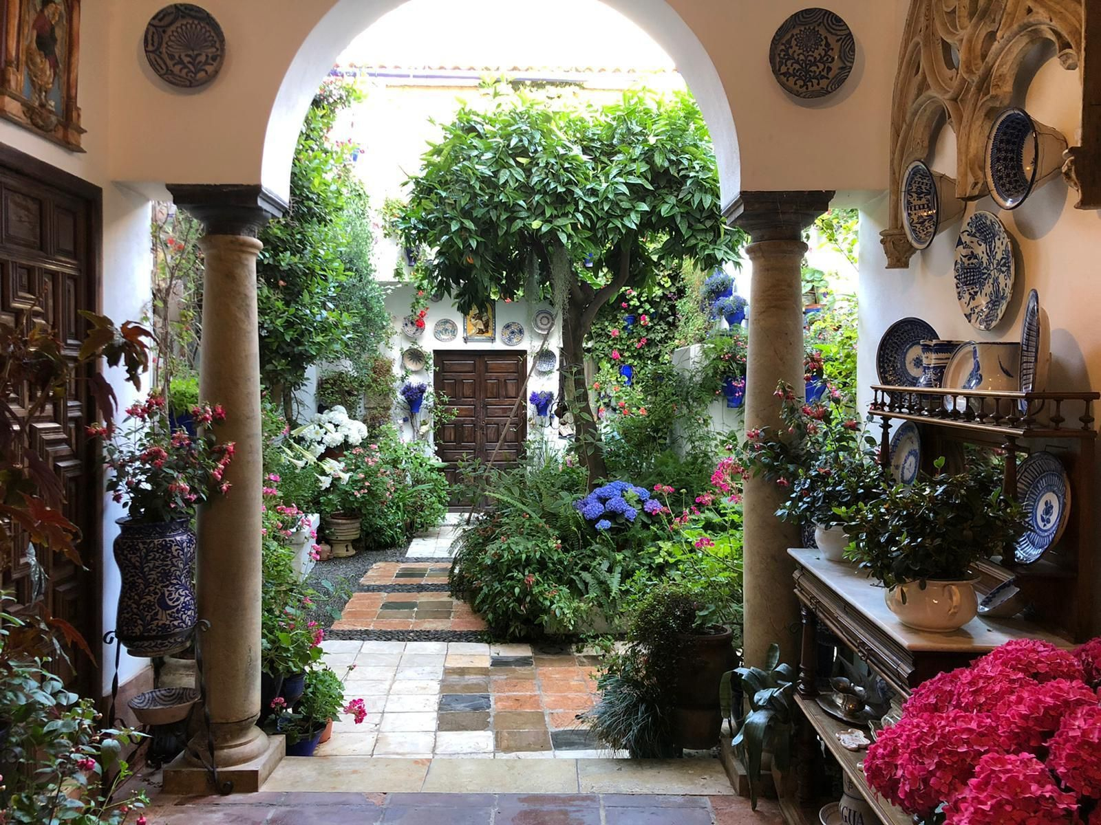 Las fotos de los Patios de Córdoba en este atípico mes de mayo