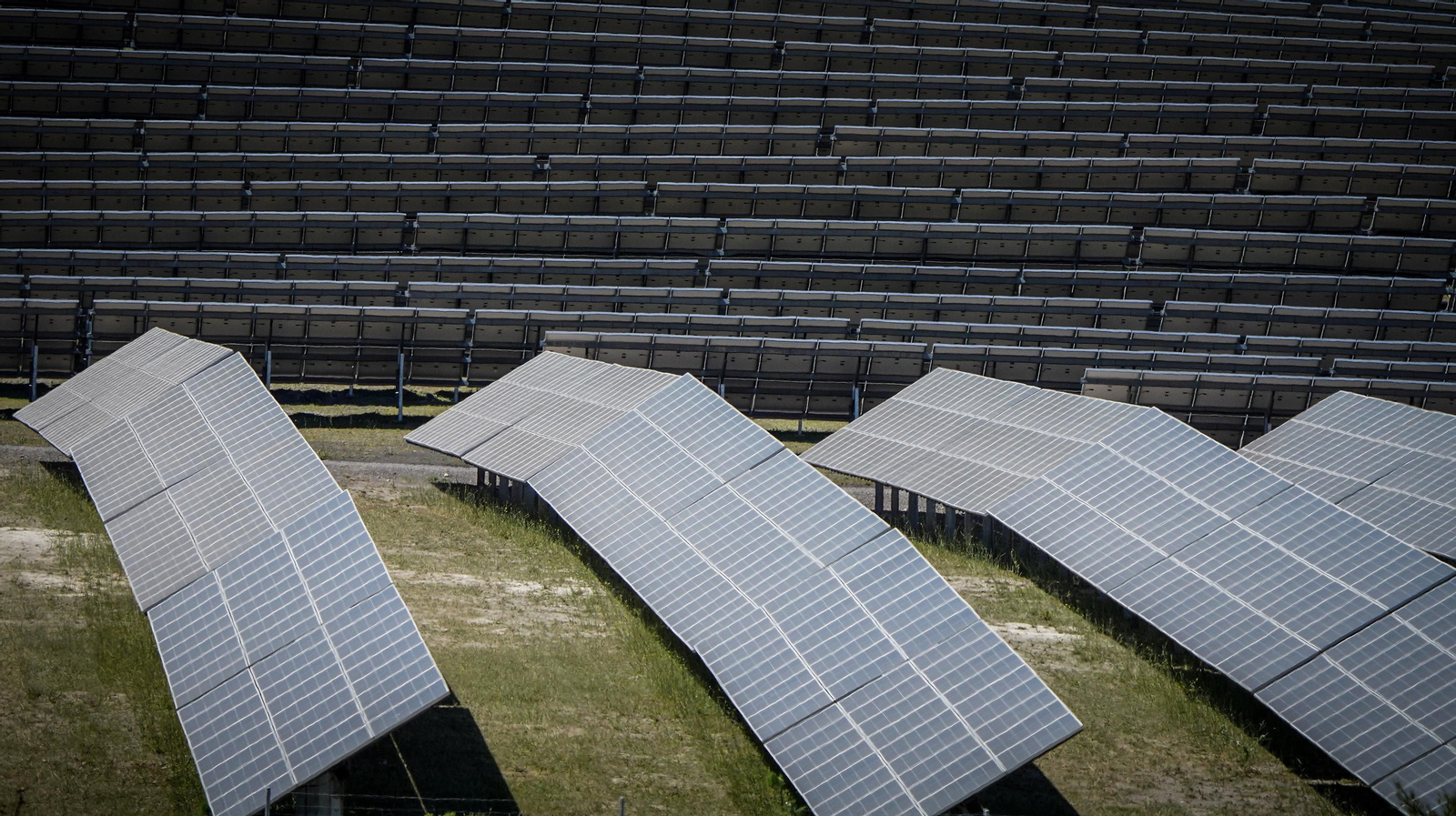 Placas de una planta fotovoltaica ya operativa en Jerez.