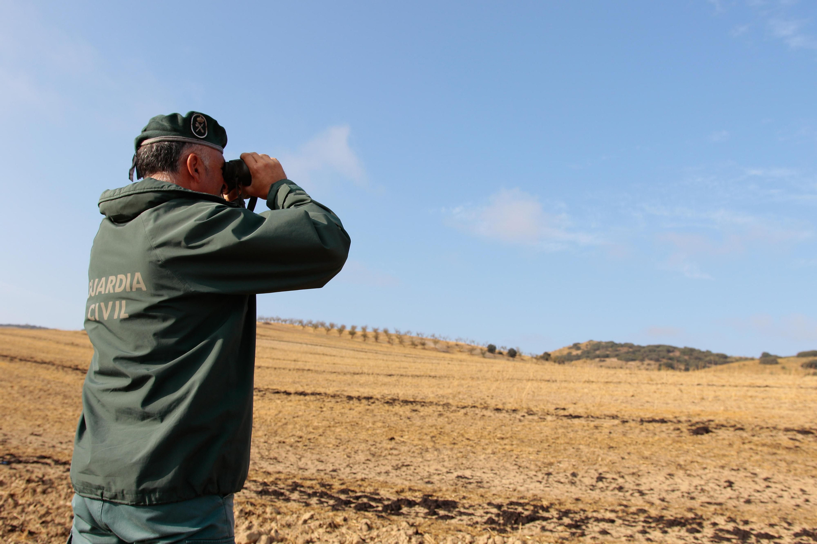 Así busca el Seprona de Granada a la pantera o el gato grande de Ventas de Huelma