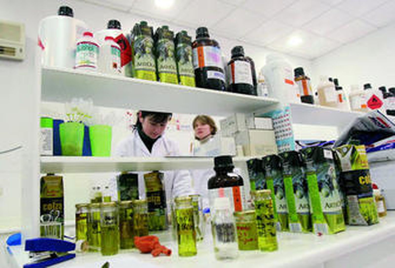 Instalaciones de Arteoliva en la ciudad de Palma del Río.