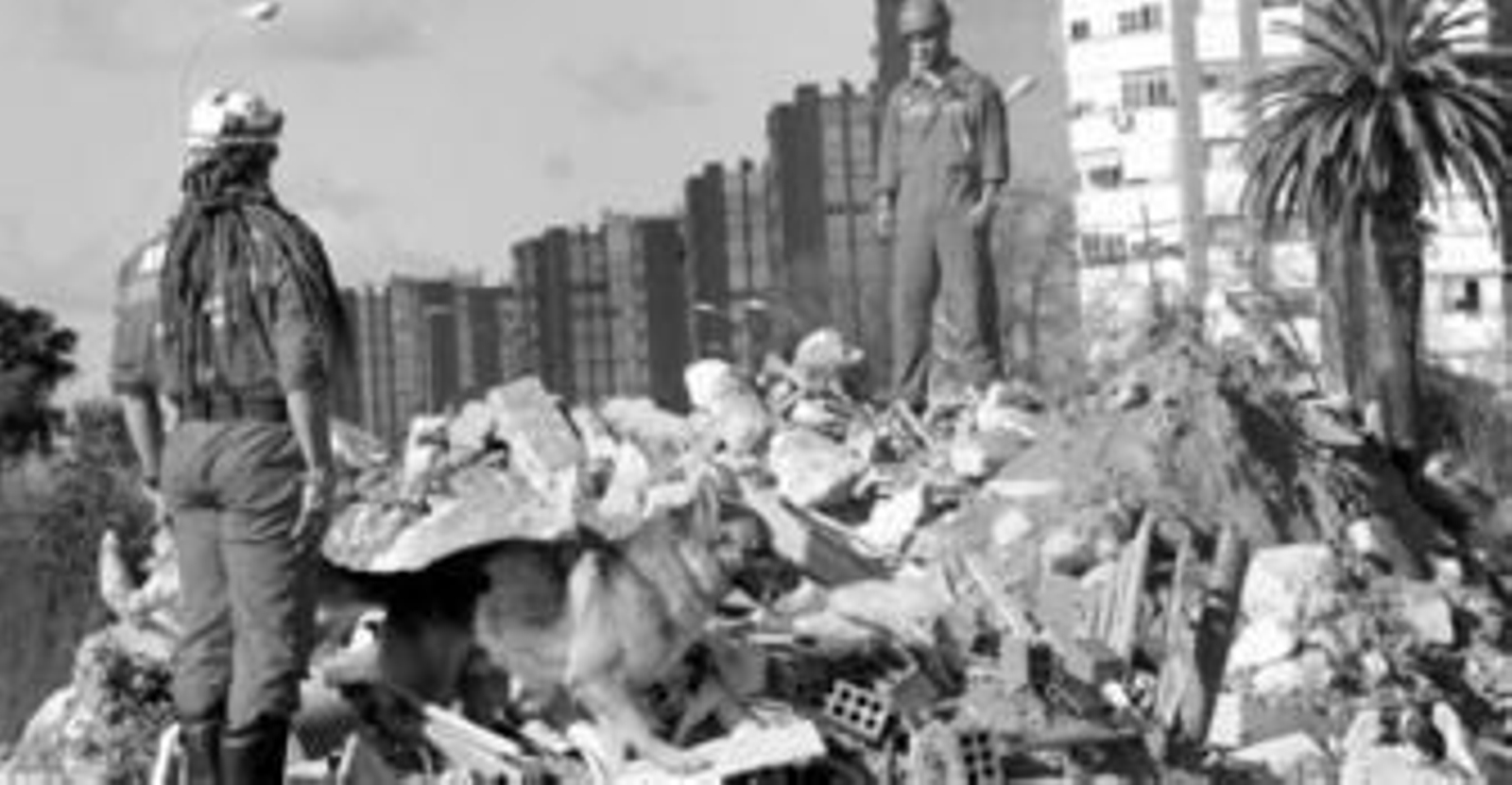 La Policía Nacional y los vecinos no cesaron sus labores de búsqueda en todo el día. Los perros especializados de la Guardia Civil y los Bomberos de Huelva trataron de encontrar el rastro de Mari Luz, sin éxito.