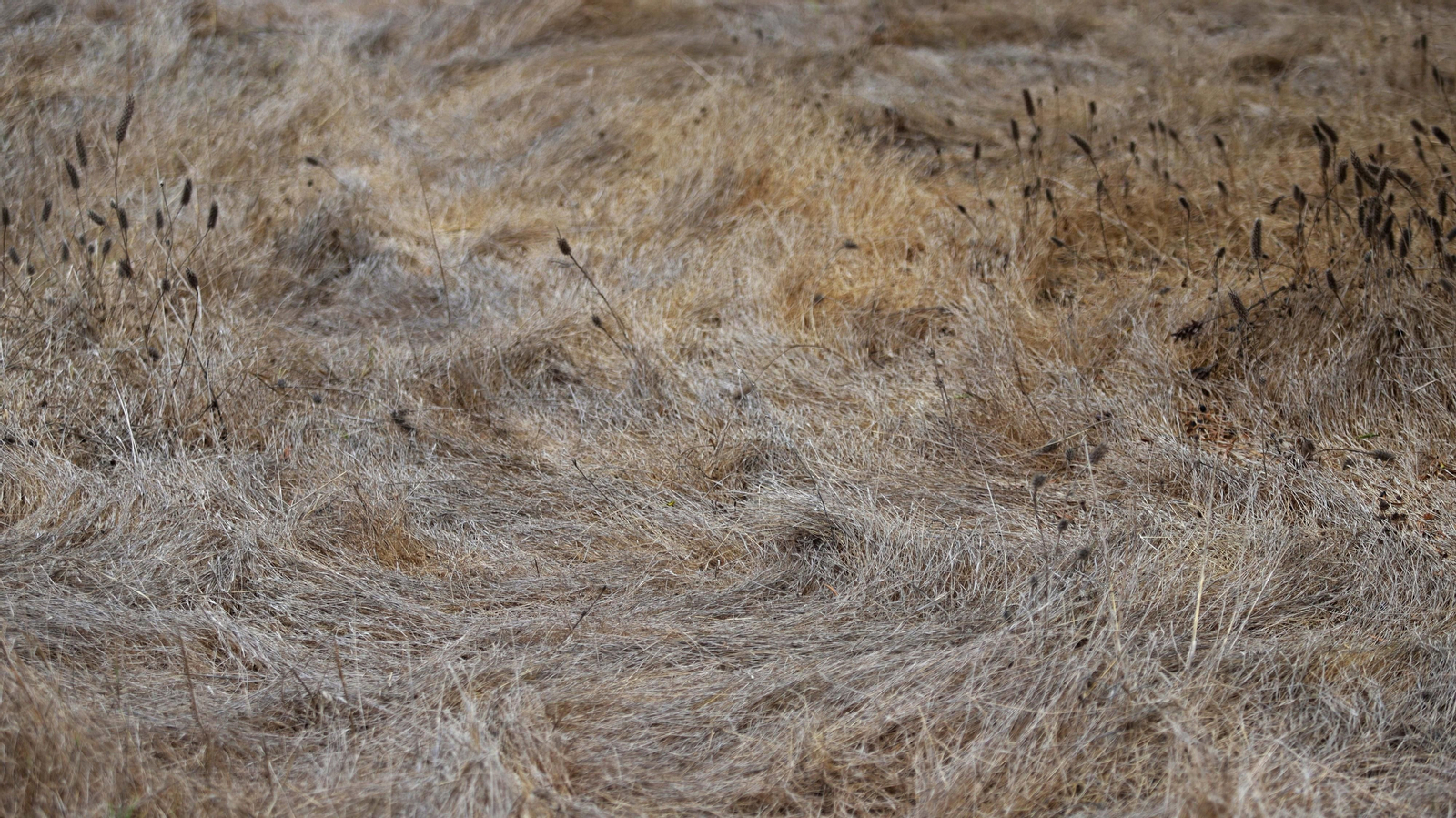 Fotos del parque del Torrejón en Algeciras