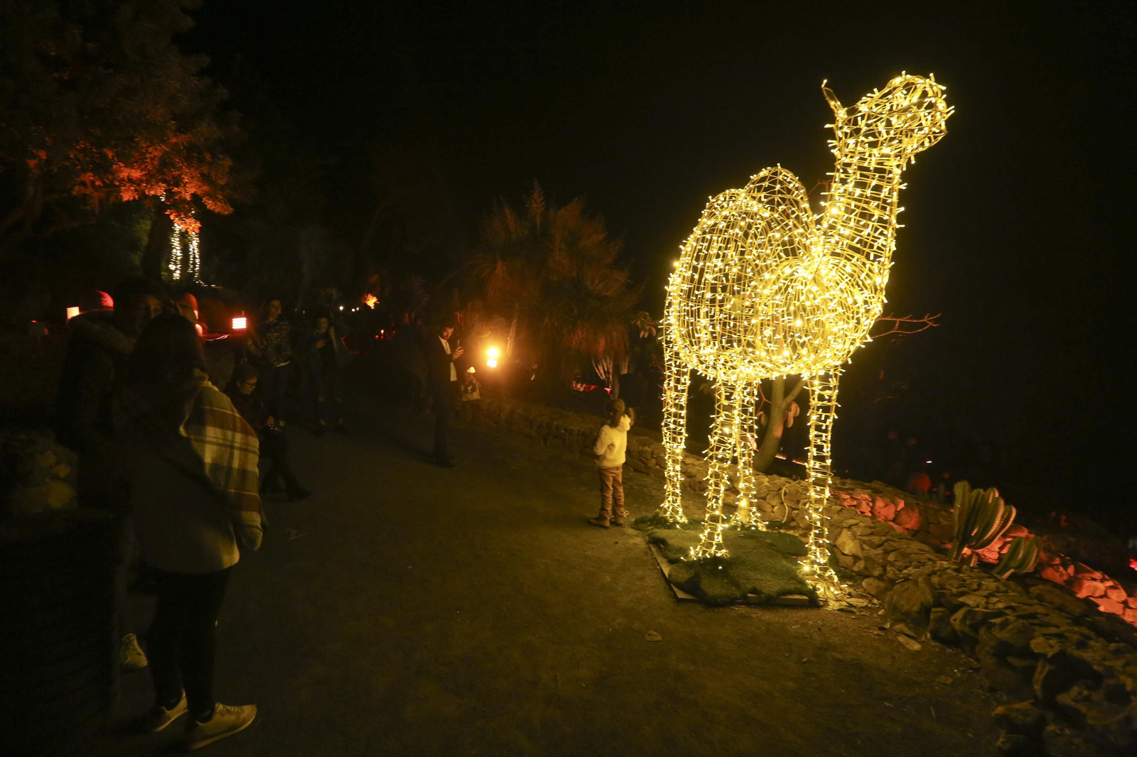 Las luces del Jardín Botánico de Málaga esta Navidad, en fotos