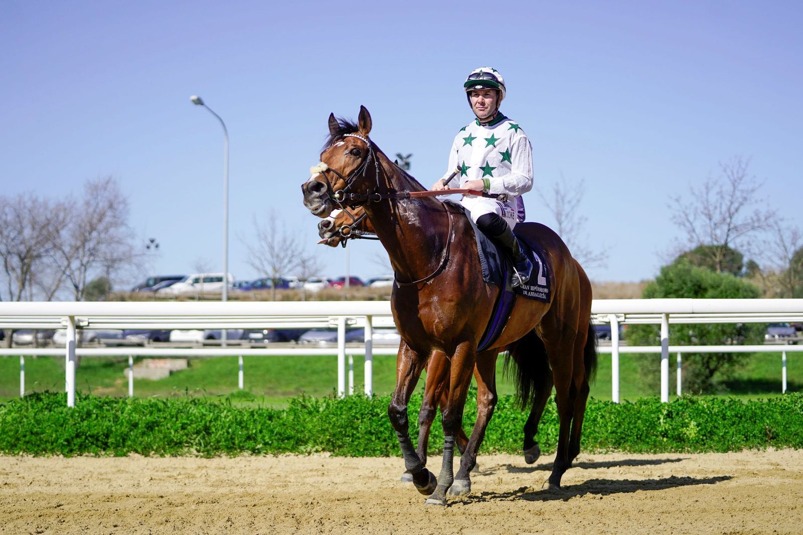 Las fotos del Premio Diario de Sevilla en el hipódromo de Dos Hermanas