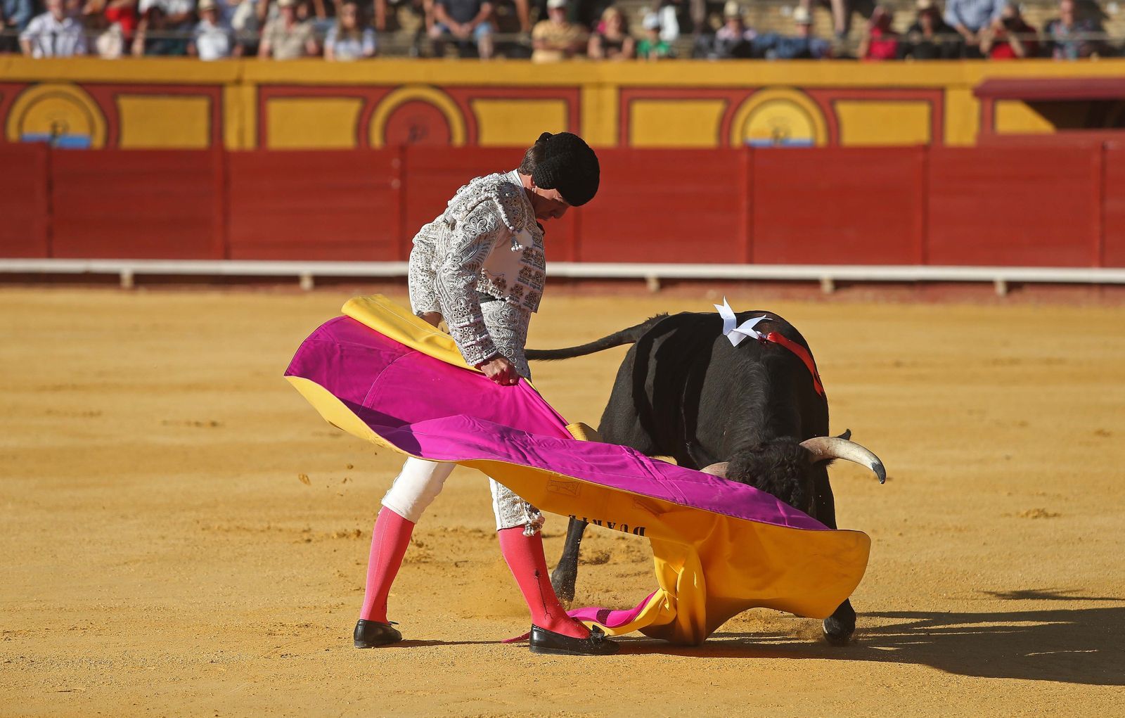 La novillada de Miguelín que abre la feria de Algeciras, en imágenes