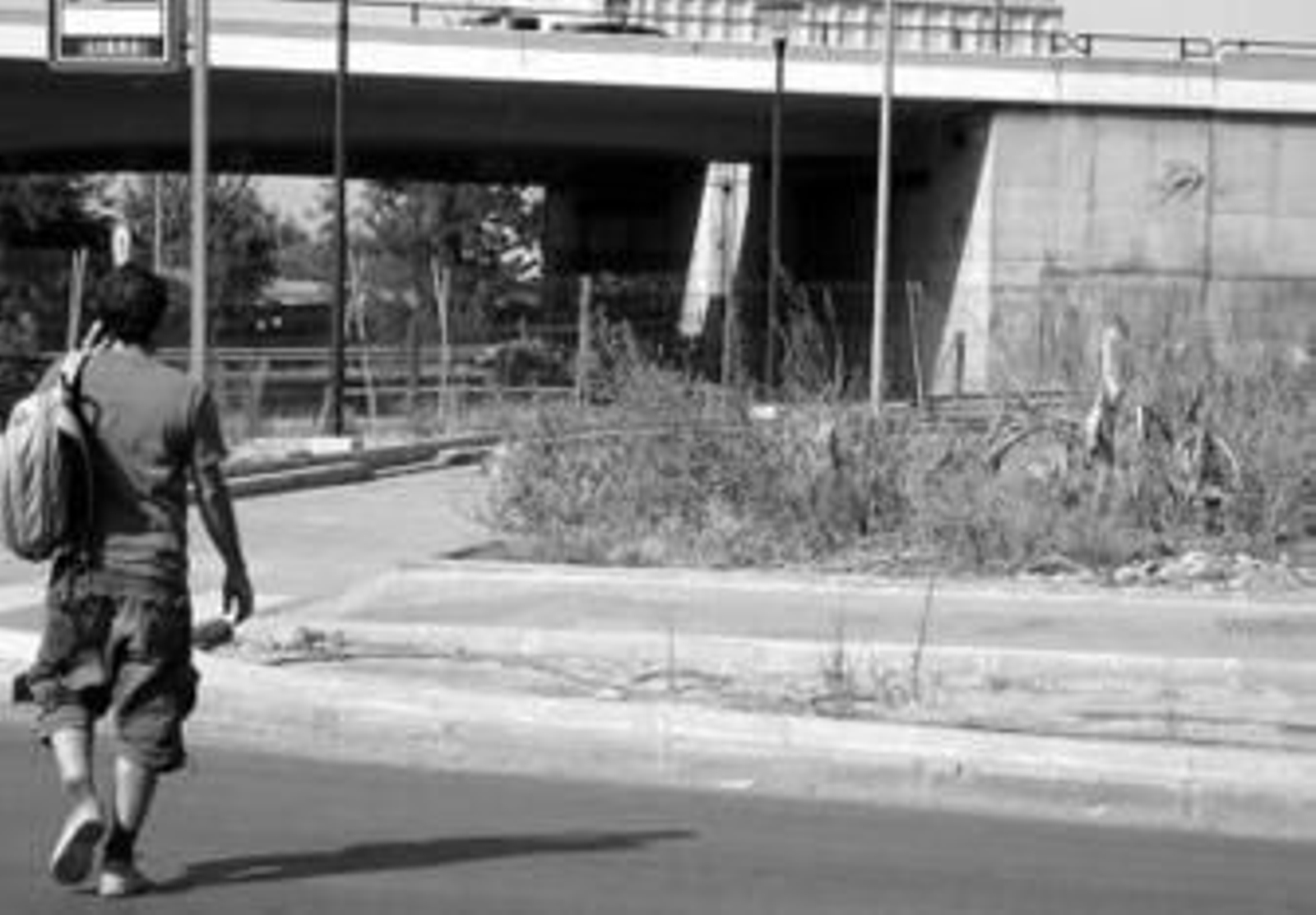 IU critica el estado de la vegetación del espacio.