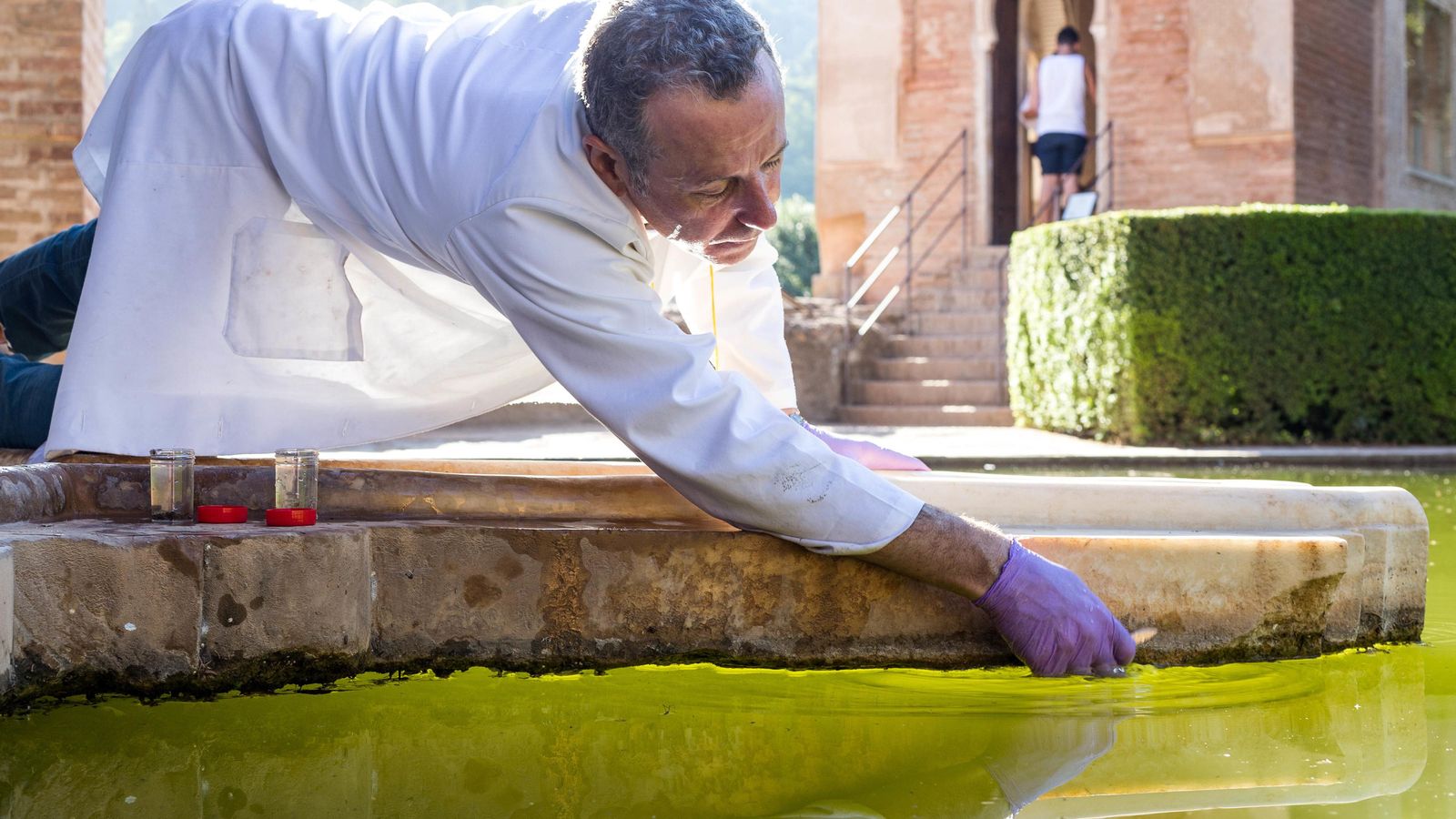 Se han analizado muestras de 21 fuentes.