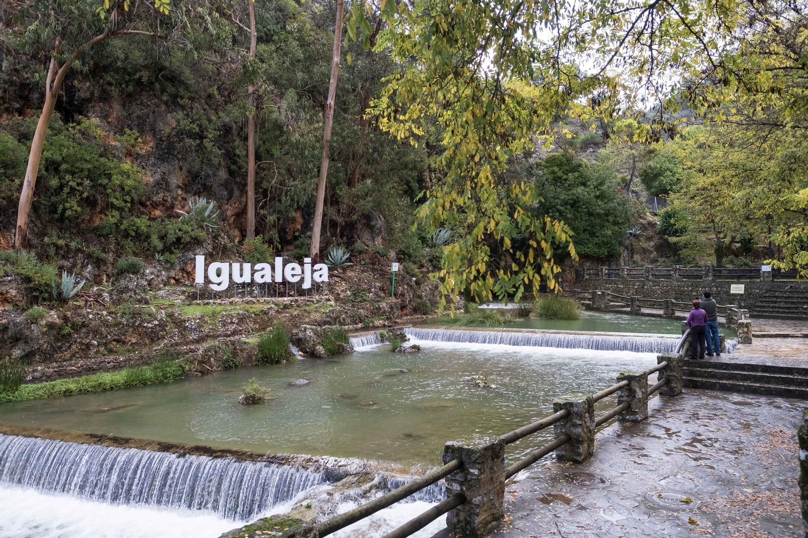 El Bosque de Cobre del Valle del Genal, en fotos