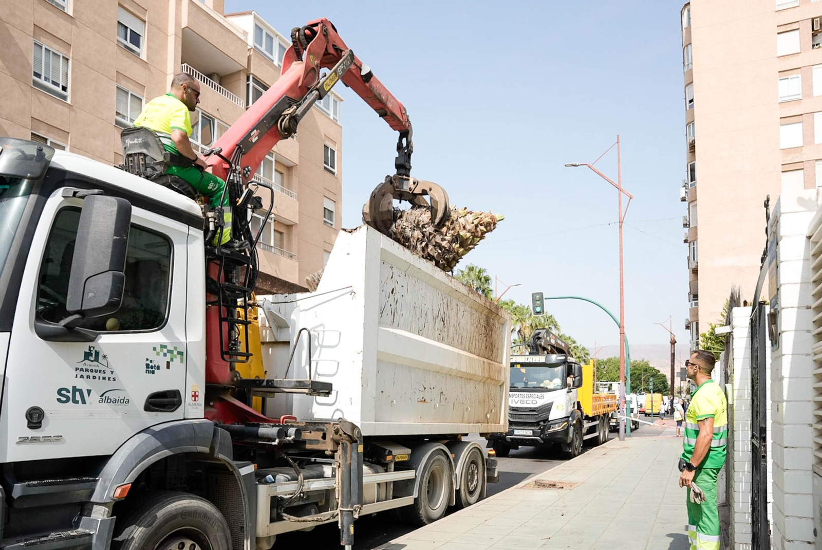 Retirada de las últimas palmeras en la avenida Cabo de Gata