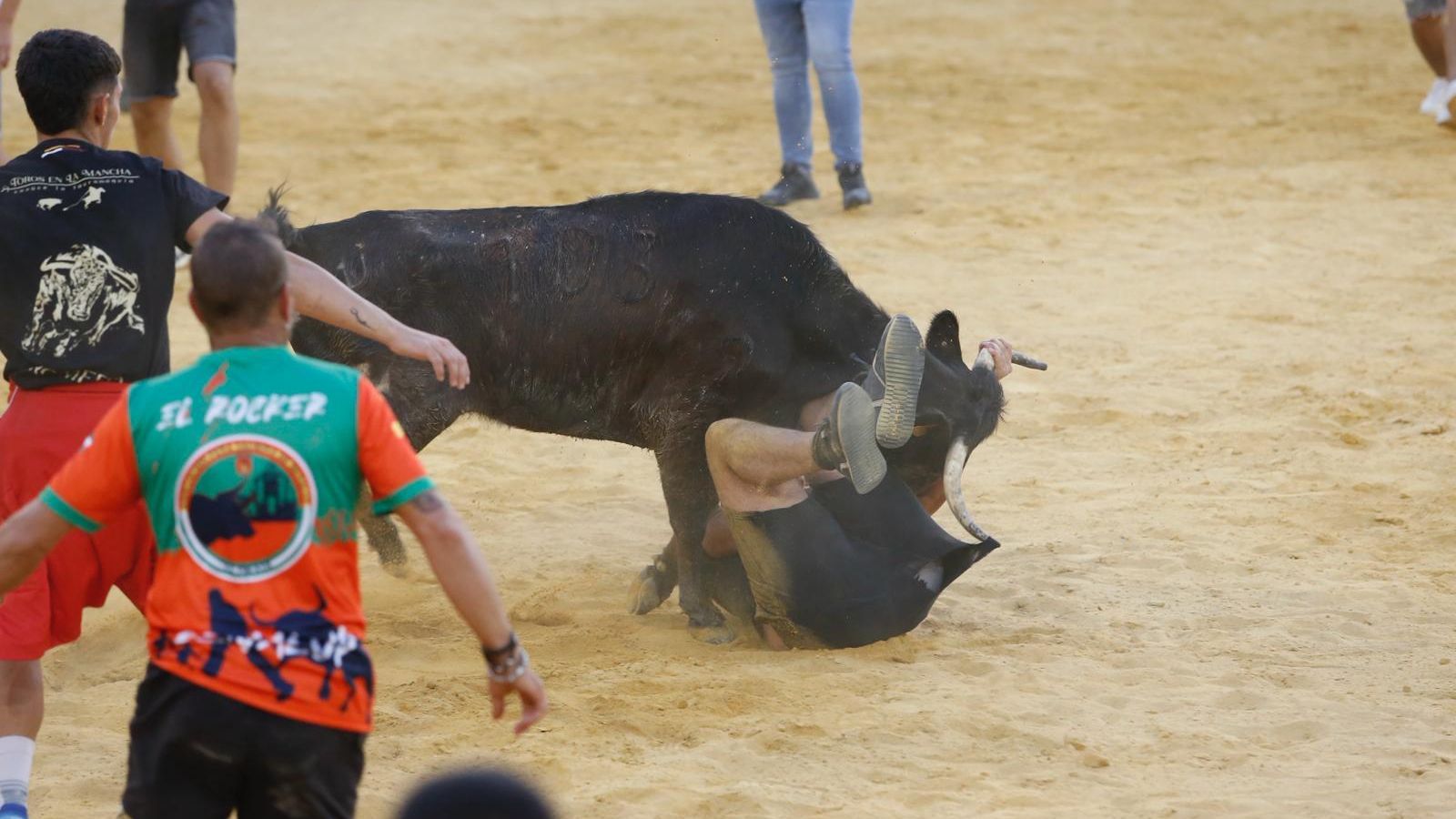 Una de las vaquillas desgarra el pantalón de un joven.