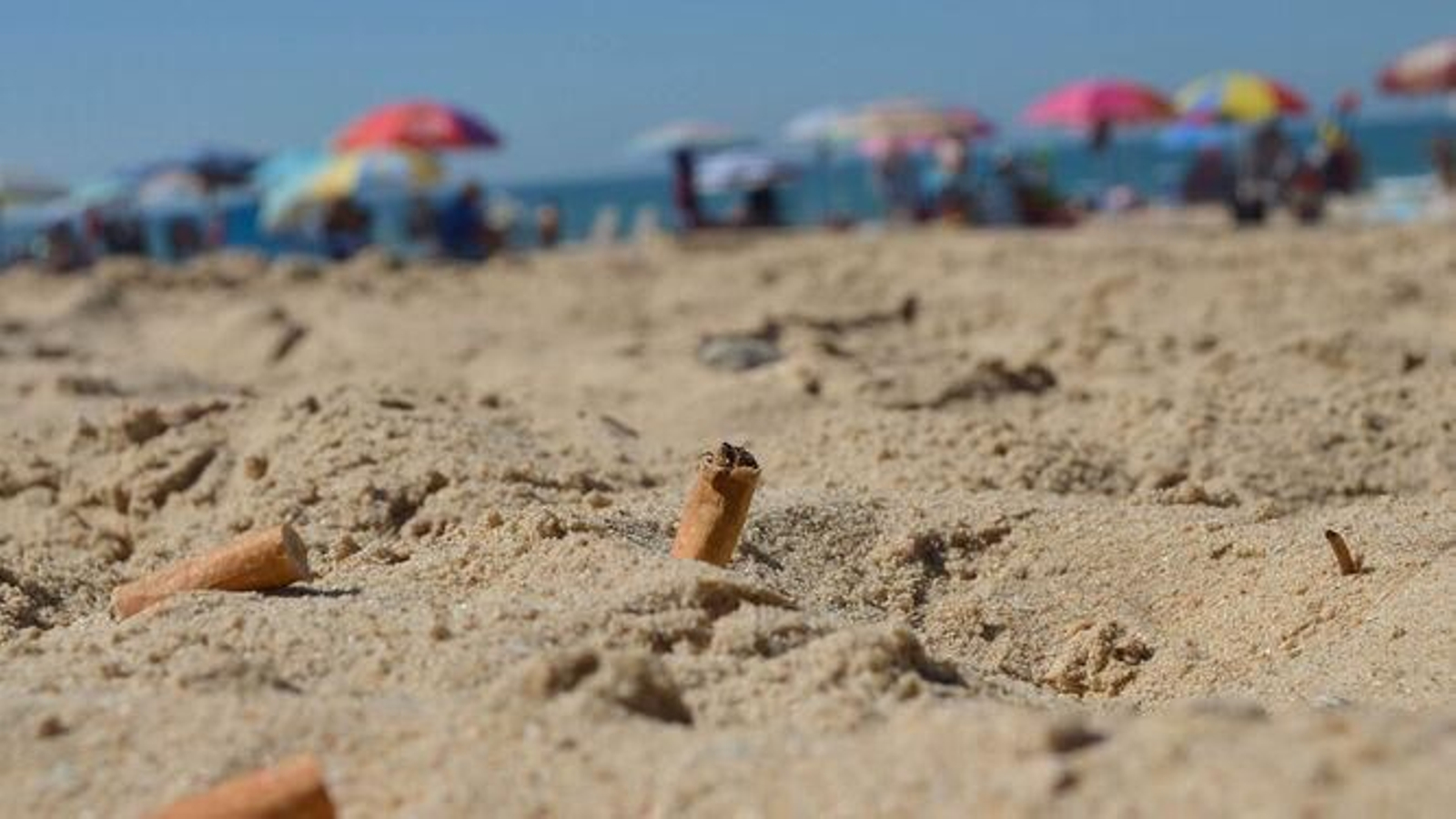 Una colilla tirada a la arena de una playa en Cádiz.