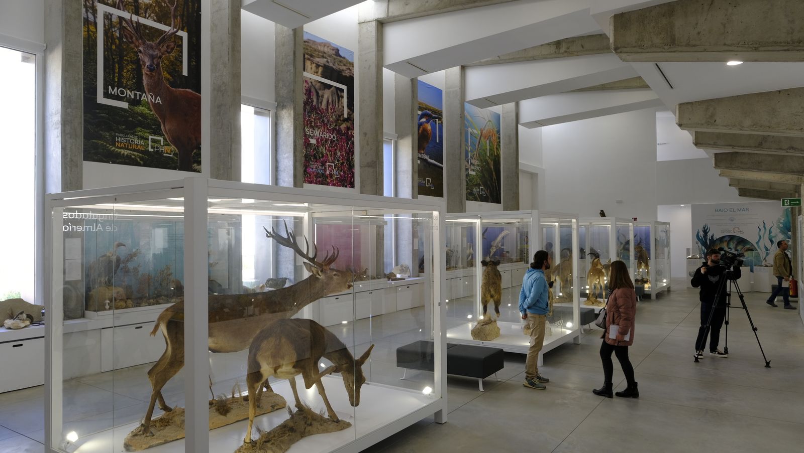 Las mejores imágenes del Pabellón de Historia Natural de la UAL